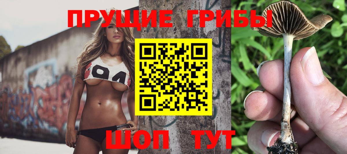 Псилоцибиновые грибы мухоморы Дзержинск