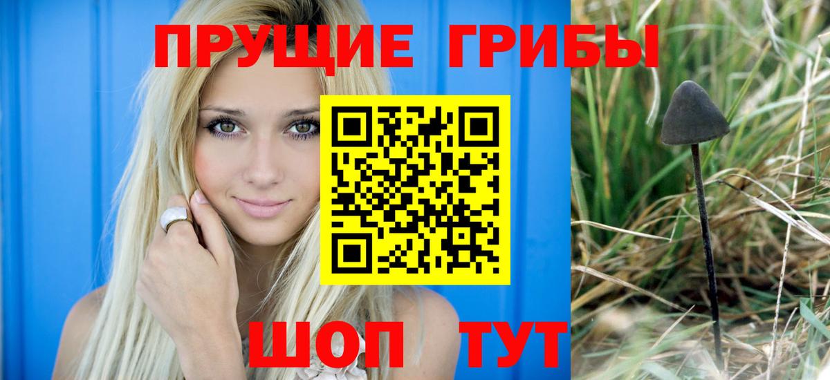 дарнет шоп  Вход с VPN  Дзержинск  Галлюциногенные грибы Psilocybine cubensis 